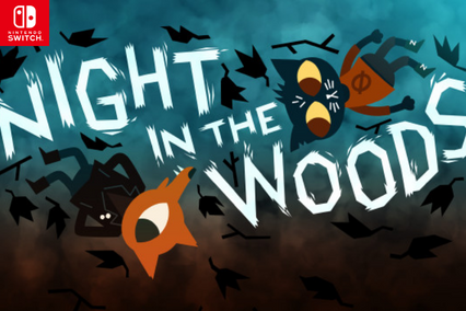 Night in the woods switch